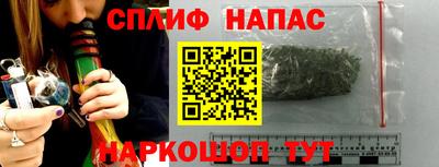 прущие грибы Владимир