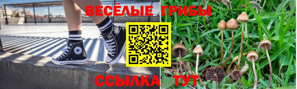 Псилоцибиновые грибы Cubensis  Вход с VPN  магазин    Псилоцибиновые грибы Psilocybe  Коммунар 