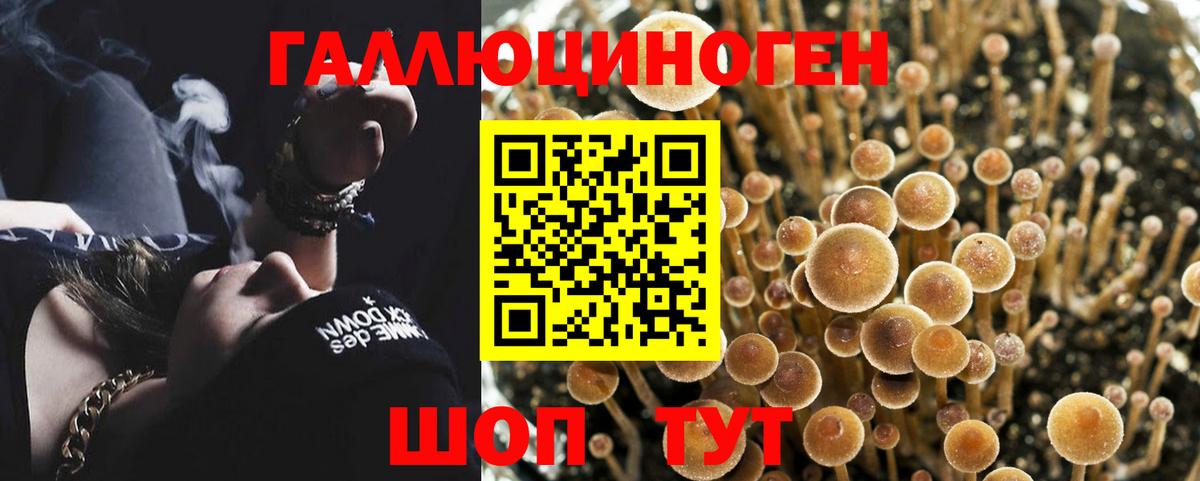 Псилоцибиновые грибы MAGIC MUSHROOMS Коммунар